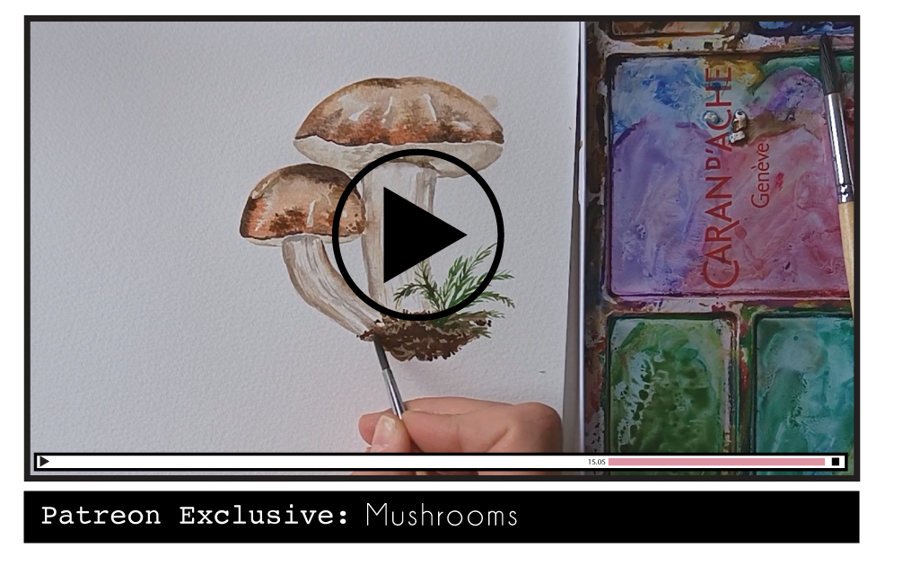 patreon-mushroom